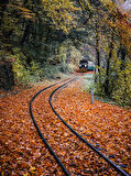 Sonbahar Raylar ve Tren Çerçevesiz 50x65 Sayılarla Boyama Hobi Seti
