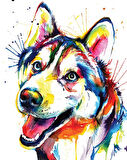 Renkli Husky  Çerçevesiz 40x50 Sayılarla Boyama Hobi Seti
