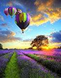 Günbatımı Ve Uçan Balonlar Çerçevesiz 40x50 Sayılarla Boyama Hobi Seti