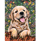 Sevimli Yavru Köpek 1 Çerçevesiz 50x65 Sayılarla Boyama Hobi Seti