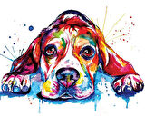 Renkli Köpek Çerçevesiz 70x90 Sayılarla Boyama Hobi Seti