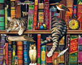 Haylaz Kedi Çerçevesiz 90x110 Sayılarla Boyama Hobi Seti
