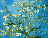 Van Gogh Kayısı Çiçeği Çerçevesiz 90x110 Sayılarla Boyama Hobi Seti