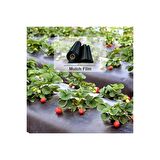 ABK PLASTİK Çilek Mulch 130CM