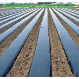 ABK PLASTİK Çilek Mulch 130CM