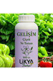 GELİŞİM SEBZE VE MEYVE BİTKİ BESİNİ