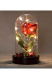 Fanusta Led Işıklı Kırmızı Gül ve Mini Ayıcık Set Sevgiliye Eşe Sürpriz Sevgiliye Hediye
