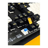 Klavye Oyuncu Gaming RGB Mekanik Blue Switch Secuzi LIG-3101