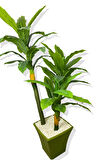 DRACAENA FRAGRANS KOYU RENK 3 GÖVDE YAPAY AĞAÇ 170 CM YEŞİL KARE SAKSI