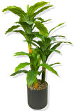 DRACAENA FRAGRANS KOYU RENK 3 GÖVDE YAPAY AĞAÇ 160 CM SİYAH 30X30 GALVANİZ SAKSI