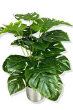 DEVETABANI (MONSTERA) 85 CM YAPAY AĞAÇ 24 DAL 25X25 GALVANİZ SAKSI