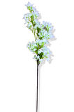 YAPAY LÜX BEYAZ BEGONVİL DALI 120 CM