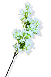YAPAY LÜX BEYAZ BEGONVİL DALI 120 CM