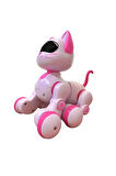 Uzaktan Kumandalı Şarjlı Akıllı Kedi İnteraktif Eğitici Ve Eğlendirici Robot Oyuncak Kumandalı