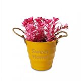 Sweet Home Yuvarlak Kovalı Hasır Kulplu Saksıda Çiçek