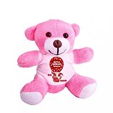 Kişiye Özel Yeniyıl Baskılı Peluş Pembe Ayı HK2436