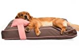 Petza Lizzo L Üstü Açık - Yastıklı Çift Taraflı - Fermuarlı Kahverengi - Pembe Büyük - Orta Irk Köpek Yatağı