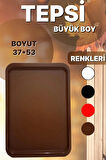 2 Lİ BÜYÜK BOY PLASTİK TEPSİ (53X37)