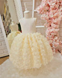 Krem Güller Vintage Kız Bebek Elbisesi, Doğum günü elbisesi,fotoğraf çekim elbisesi,0-12 Yaşa Uygun