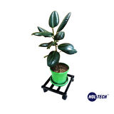 Metal Tasarım Tekerlekli Saksı Altlığı 30 Cm Taşınabilir Hareketli Saksılık Damacana Altlığı