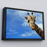 Beyaz Çerçeveli Zürafa Dekoratif Kanvas Tablo