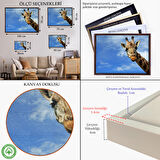 Beyaz Çerçeveli Zürafa Dekoratif Kanvas Tablo