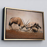Kahverengi Çerçeveli Antilob Dekoratif Kanvas Tablo
