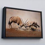 Kahverengi Çerçeveli Antilob Dekoratif Kanvas Tablo