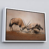 Kahverengi Çerçeveli Antilob Dekoratif Kanvas Tablo