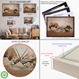 Kahverengi Çerçeveli Antilob Dekoratif Kanvas Tablo