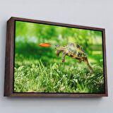 Kahverengi Çerçeveli Uçan Kaplunbağa Dekoratif Kanvas Tablo