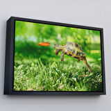 Kahverengi Çerçeveli Uçan Kaplunbağa Dekoratif Kanvas Tablo