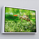 Kahverengi Çerçeveli Uçan Kaplunbağa Dekoratif Kanvas Tablo