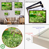 Kahverengi Çerçeveli Uçan Kaplunbağa Dekoratif Kanvas Tablo