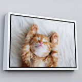 Siyah Çerçeveli Yavru Kedi Dekoratif Kanvas Tablo