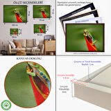 Siyah Çerçeveli Renkli Kurbağa Dekoratif Kanvas Tablo