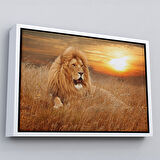 Beyaz Çerçeveli Erkek Aslan Dekoratif Kanvas Tablo