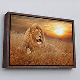 Beyaz Çerçeveli Erkek Aslan Dekoratif Kanvas Tablo