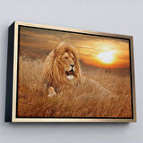 Beyaz Çerçeveli Erkek Aslan Dekoratif Kanvas Tablo