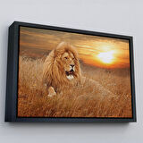 Beyaz Çerçeveli Erkek Aslan Dekoratif Kanvas Tablo