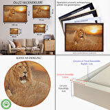 Beyaz Çerçeveli Erkek Aslan Dekoratif Kanvas Tablo