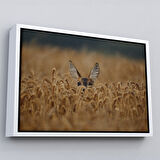 Siyah Çerçeveli Ceylan Dekoratif Kanvas Tablo