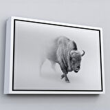 Beyaz Çerçeveli Bizon Dekoratif Kanvas Tablo