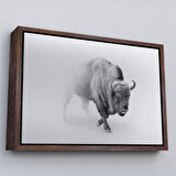 Beyaz Çerçeveli Bizon Dekoratif Kanvas Tablo