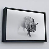 Beyaz Çerçeveli Bizon Dekoratif Kanvas Tablo