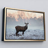 Altın Çerçeveli Geyik Dekoratif Kanvas Tablo