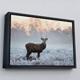 Altın Çerçeveli Geyik Dekoratif Kanvas Tablo