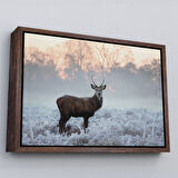 Altın Çerçeveli Geyik Dekoratif Kanvas Tablo