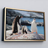 Siyah Çerçeveli Mutlu Penguenler Dekoratif Kanvas Tablo