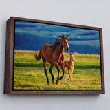 Beyaz Çerçeveli At ve Tay Manzaralı Dekoratif Kanvas Tablo
